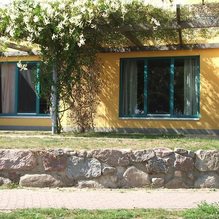 Doppelzimmer 11 Gaestehaus Muehlenstein Bad Sulze Экстерьер фото